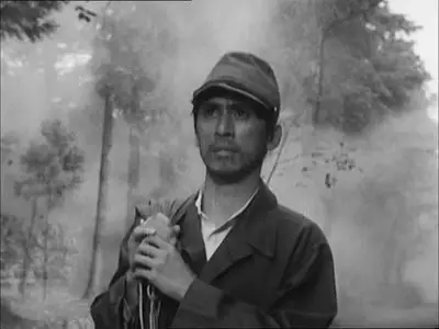 The Lady of Musashino (1951)