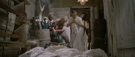 Zombie flesh eaters (1979)