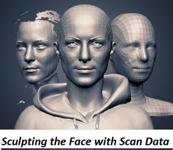 Sculpting the Face with Scan Data (2011)