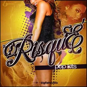 Big Fish Audio Risque Pop Kits