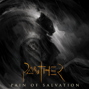 Pain Of Salvation - Panther (2020) [2CD Limited Edition]