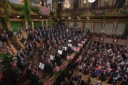 Neujahrskonzert der Wiener Philarmoniker / Vienna Philharmonic. New Year's Concert (2011)