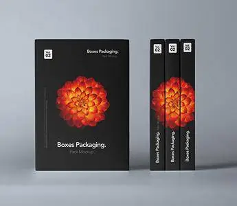 Boxes Packaging Pack Mockup 2