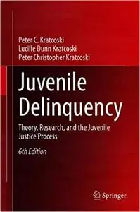 Juvenile Delinquency: Theory, Research, and the Juvenile Justice Process Ed 6