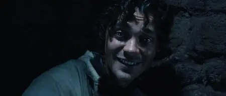 The Physician (2013)