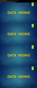 Learn the Basics of BLACK Hat Hacking secrets in Ethical Way