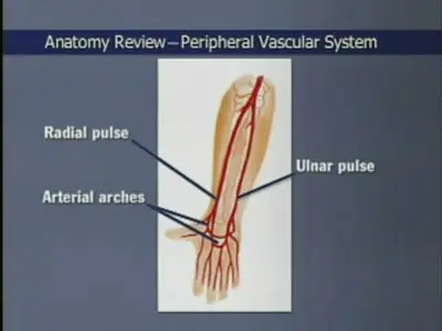 Ваtes' Visual Guide to Physical Assessment