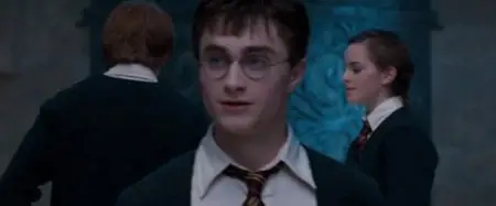 Harry Potter and the Order of the Phoenix (2007)