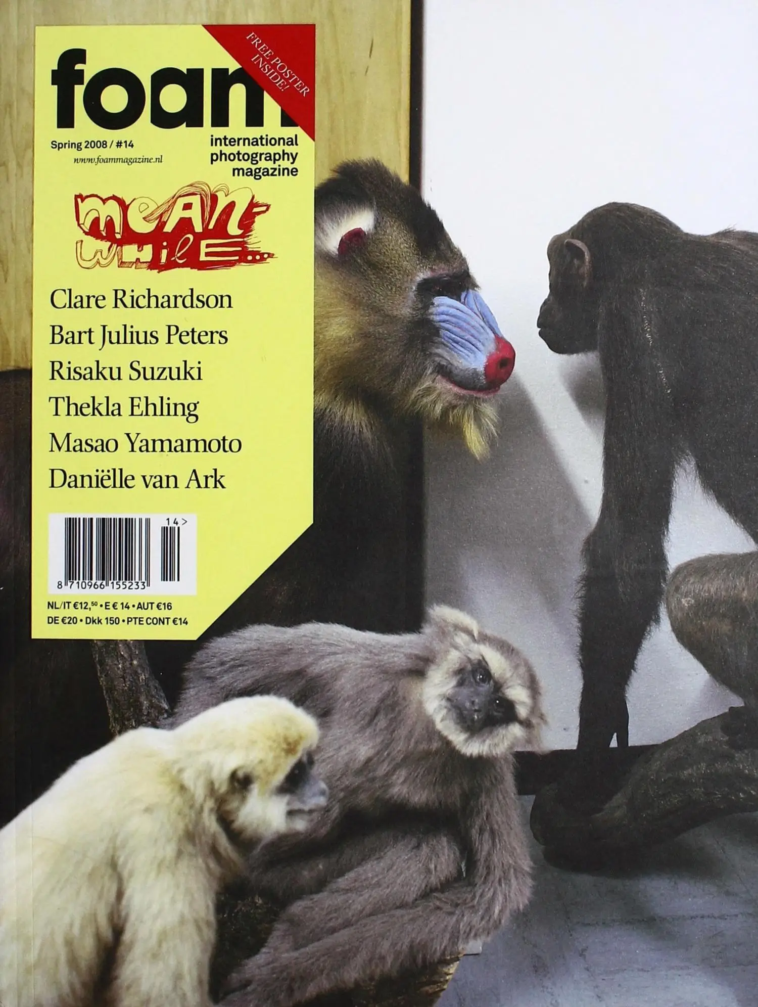 Foam Magazine - Issue 14 - Meanwhile