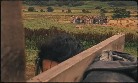 Harvest (2024)