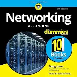 Networking All-in-One for Dummies (9th Edition) [Audiobook]