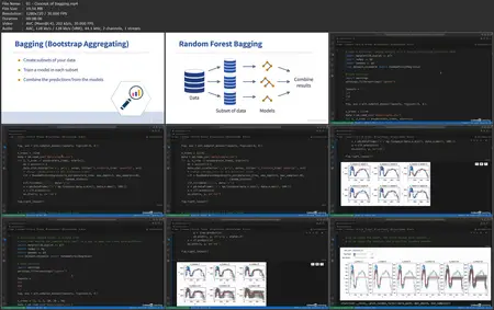 Applied Machine Learning: Ensemble Learning [Released: 2/28/2025]