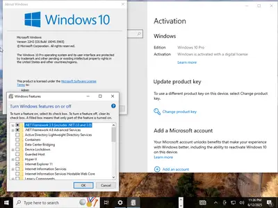 Windows 10 Pro 22H2 build 19045.5965 Preactivated (x64) Multilingual June 2025