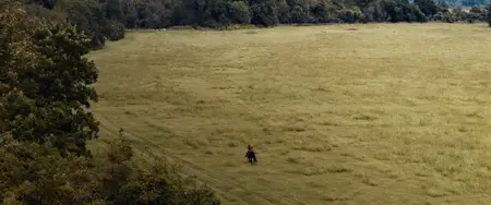 The Man in the White Van (2023)