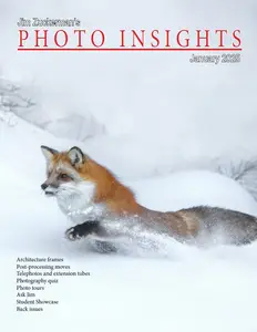 Photo Insights - January 2025