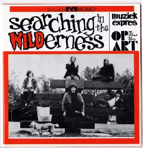 VA - Searching In The Wilderness (2000)
