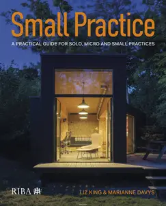 Small Practice: A practical guide for solo, micro and small practices