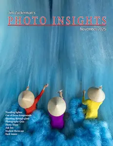 Photo Insights - November 2025