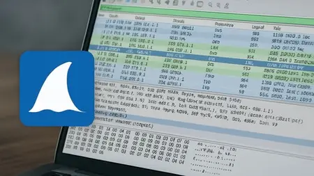 Wireshark Mastery: Network Traffic Analysis