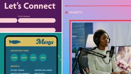 Design Aesthetics for Web Experiences