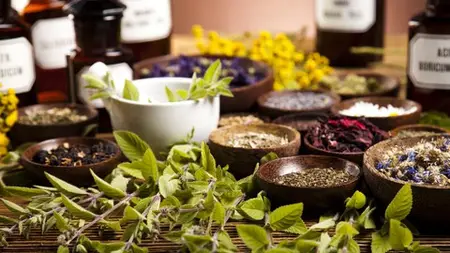 Herbalism For Beginners