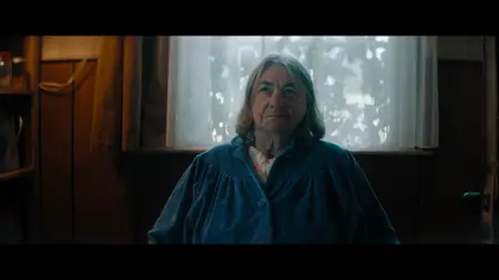 De Ballonvaarder / The Balloonist (2025)