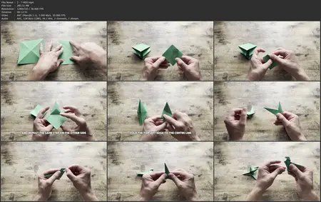 Origami World: From First Fold to the Epic Dragon