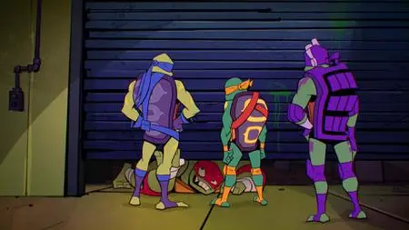 Rise of the Teenage Mutant Ninja Turtles S01E29