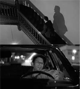 Down by Law (1986) [The Criterion Collection]