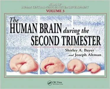 The Human Brain During the Second Trimester (Atlas of Human Central Nervous System Development, vol.3) (repost)