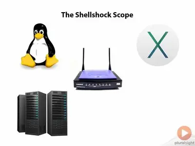 Understanding the Shellshock Bash Bug