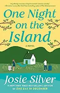 One Night on the Island: A Novel