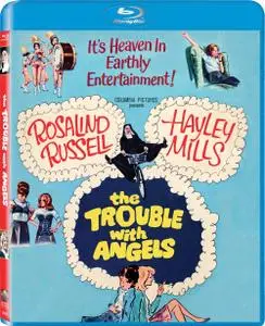 The Trouble with Angels (1966)