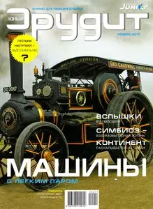 Юный эрудит №11 (ноябрь 2010)