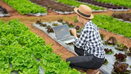 Basics of Agriculture for Engineers: Building a Strong Found