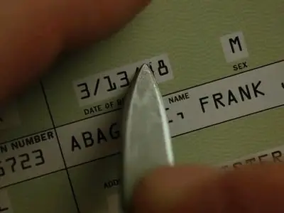 Catch Me If You Can (2002)