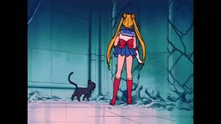 Bishoujo Senshi Sailor Moon BD part 1 (1992 (2017 release))