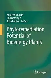 Phytoremediation Potential of Bioenergy Plants (Repost)