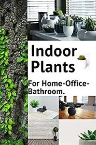Indoor Plants For Home- Office -Batheroom.