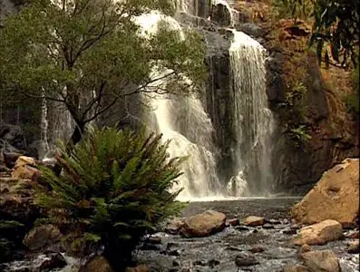 Золотой глобус. 11. Австралия