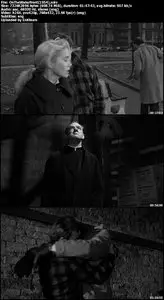 On The Waterfront (1954)