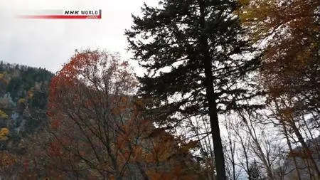 NHK - Cycle Around Japan: Autumn Amidst Mother Nature in Hokkaido (2017)
