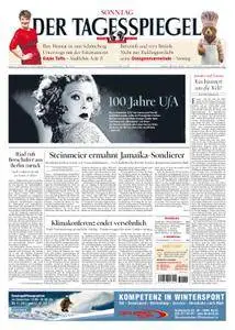 Der Tagesspiegel - 19. November 2017