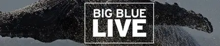 Big Blue Live S01E02 (2015)