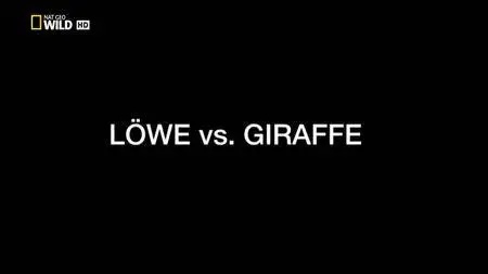 National Geographic - Lion vs. Giraffe (2017)