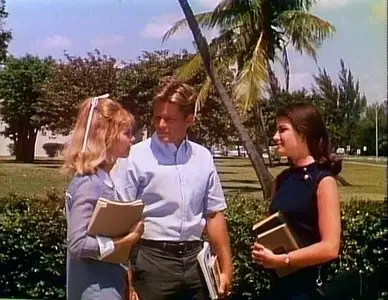 The Gruesome Twosome (1967)