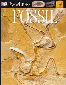 DK Eyewitness Books: Fossil by Paul Taylor [Repost] 