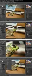Complete Guide to GIMP 2019 Photo Editing