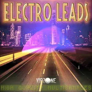 VipZone - Electro house Leads for Kontakt