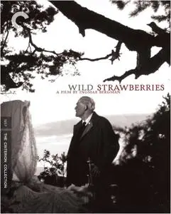 Wild Strawberries (1957) + Extras [The Criterion Collection]